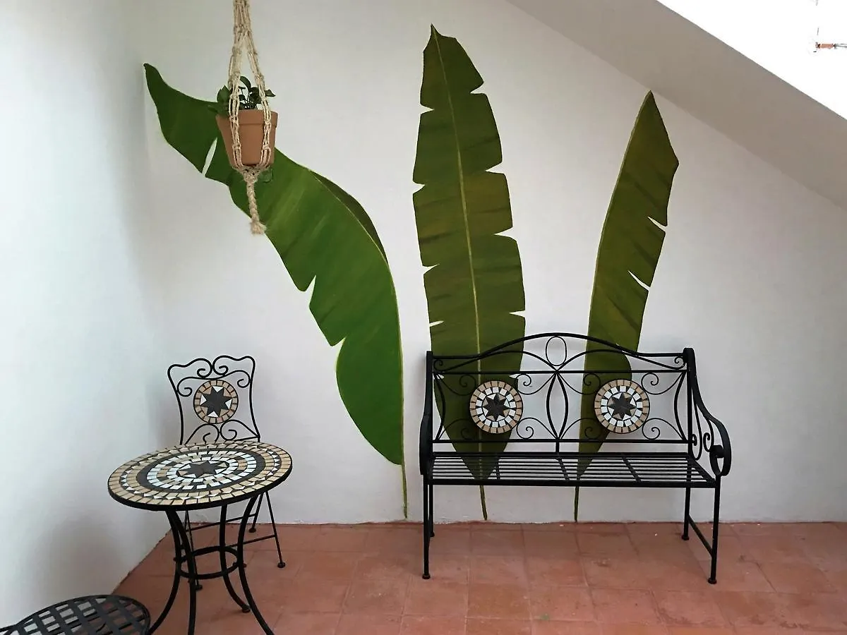 ***  Villa Alejandra Hotel Boutique Playa del Carmen Meksyk