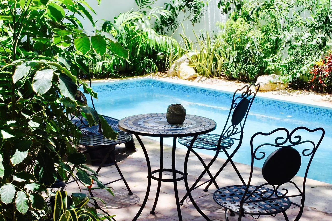 Villa Alejandra Hotel Boutique Playa del Carmen