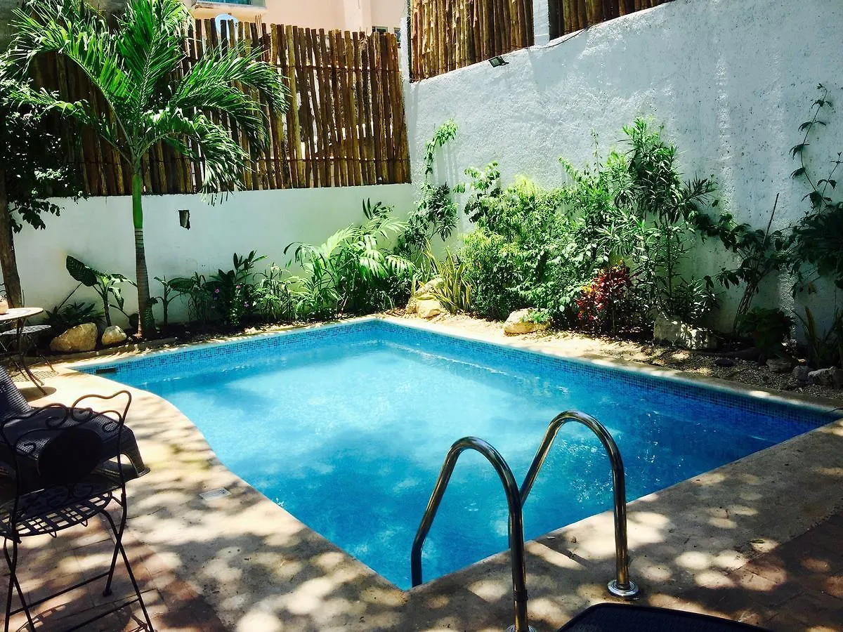 Villa Alejandra Hotel Boutique Playa del Carmen 3*,