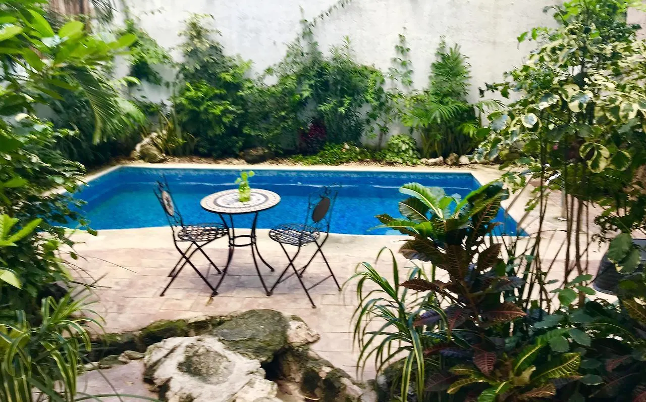 Villa Alejandra Hotel Boutique Playa del Carmen Meksyk